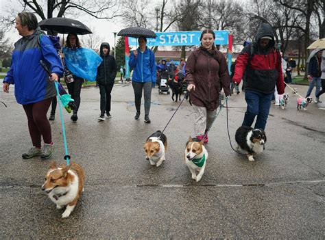 Humane Society’s ‘Walk for Animals’ at Fairgrounds to proceed without pooches because of canine flu guidelines